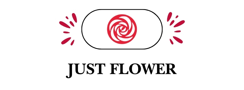 JUST FLOWER |  مجرد وردة